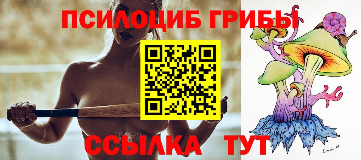 Псилоцибиновые грибы Psilocybine cubensis  Вход с VPN  Касимов  Псилоцибиновые грибы мухоморы 