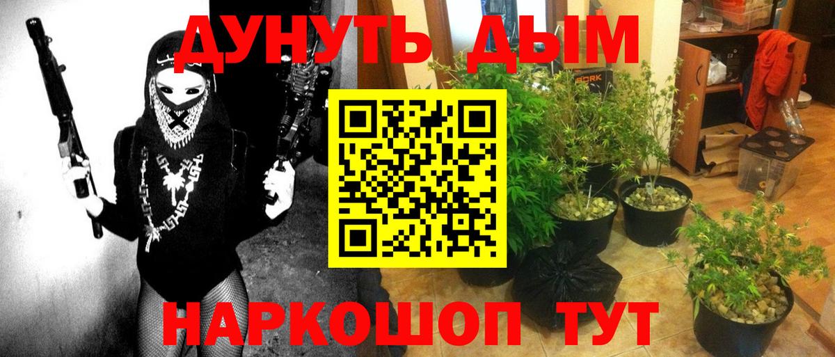 Конопля план Касимов